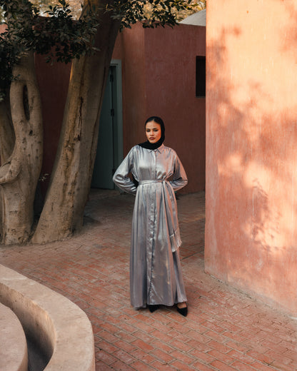 Shimmering shirt dress ( silver)