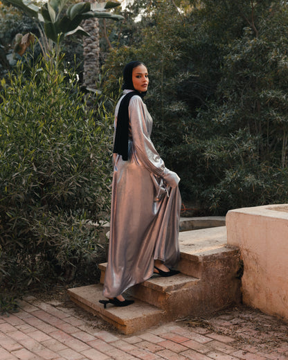 Shimmering shirt dress ( silver)